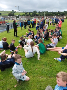 Go Games Rounders in Limerick
