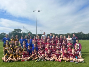 Rounders Go Games Wexford