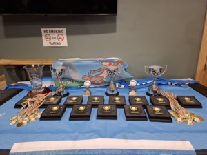 CWL Winter League Trophies