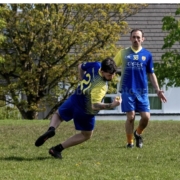 Limekiln v Galway Rapparees